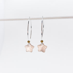 Medium Brushed Star Earrings